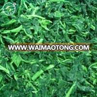 hot sale and good quality iqf frozen spinach