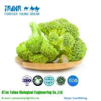 XIAN TAIMA Vegetable Powder Freeze Dried Broccoli Powder