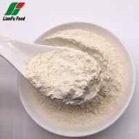 A grade AD dehydrated white onion powder